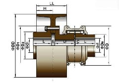 T61系列帶制動輪蛇形彈簧聯(lián)軸器